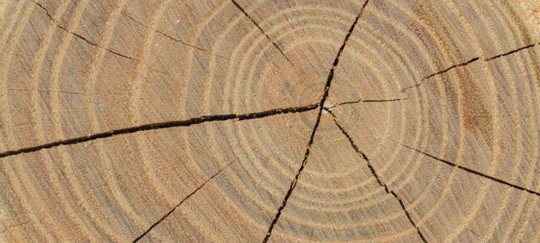 ISO_wood_thumb-e1461246465829
