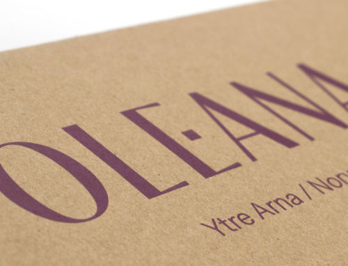 Kvalitetssikre og miljøvenlige papirposer og gaveæsker til Oleana