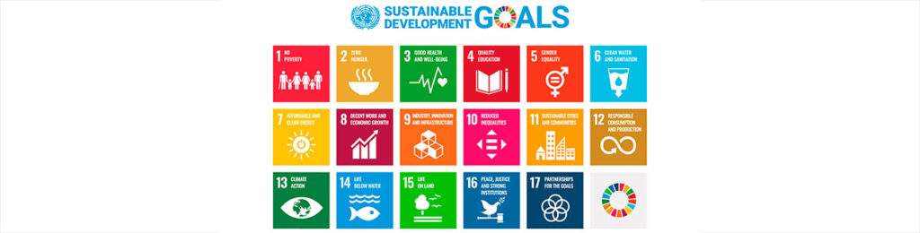 17 UN goals chart