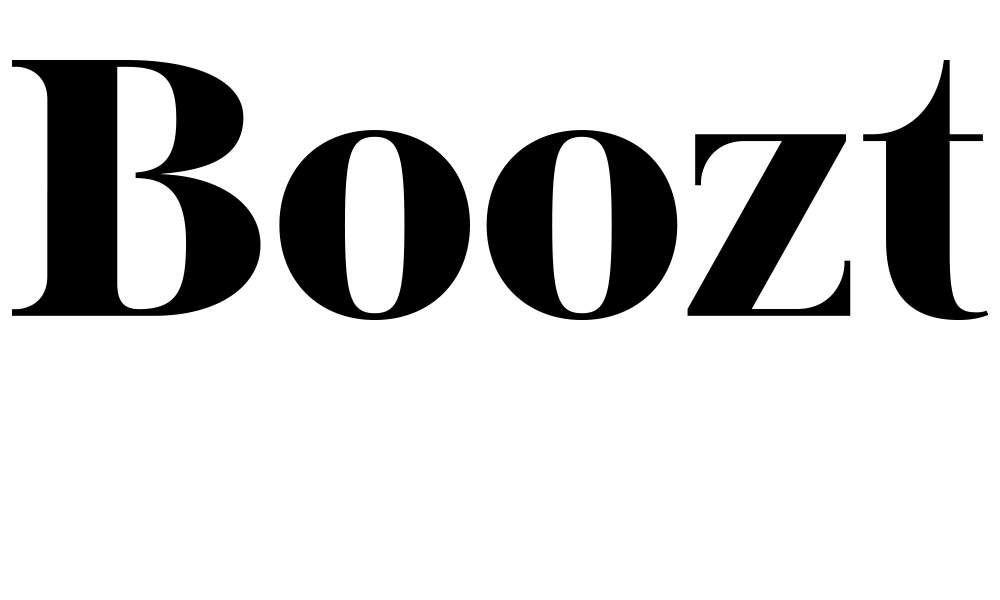 Boozt 02 logo