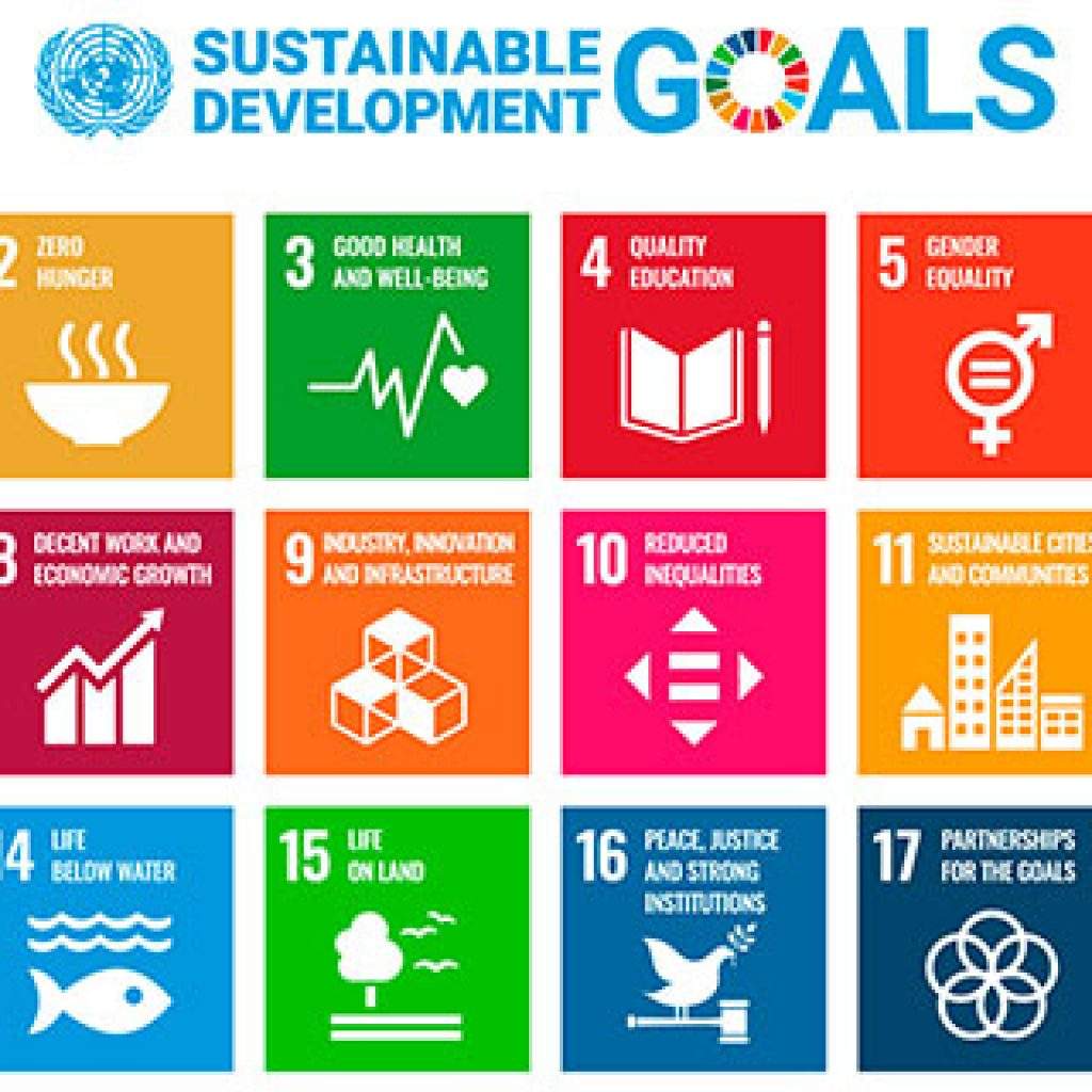 17 UN goals chart
