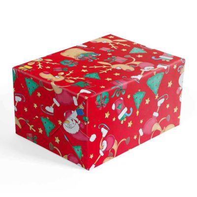 Image of: Gift wrap Reindeer Fun