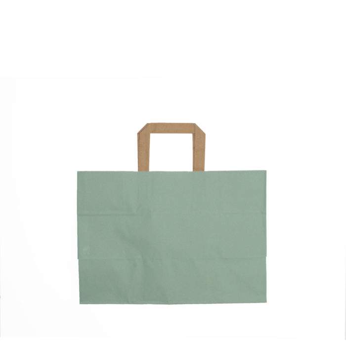 Image of: Paper bag Green, flat brown handles. 80g. FSC®