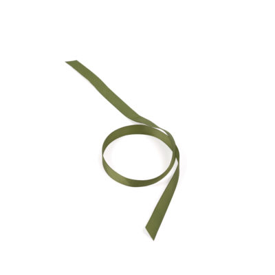 Image of: Grosgrain ribbon, Willow